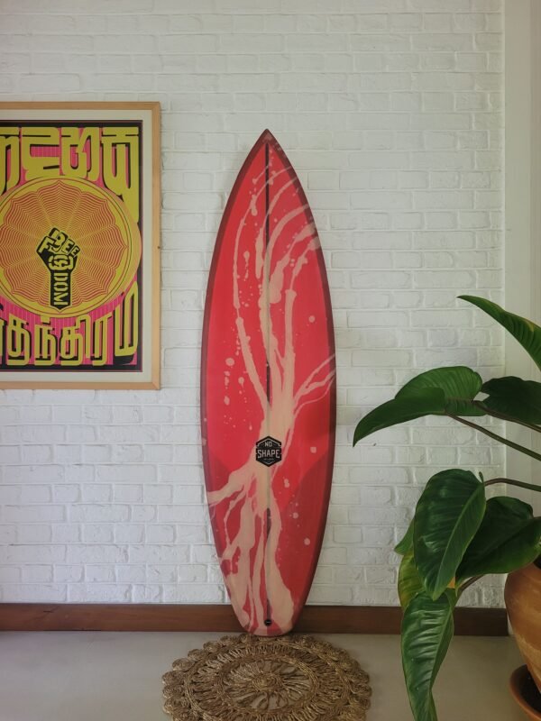 20260829_104653 5′9″ Surfin' Bird