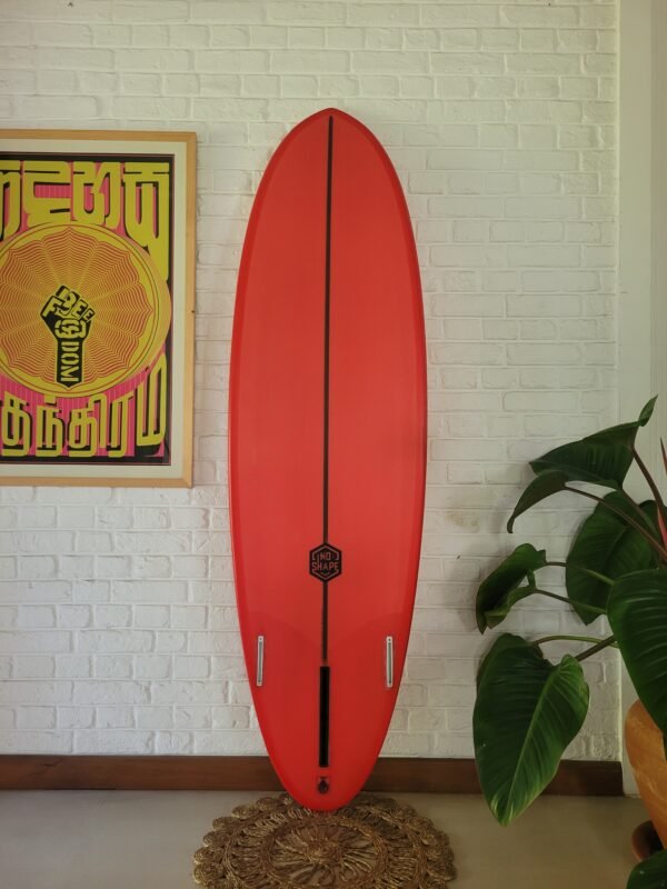 6′6" Miss Kitoko